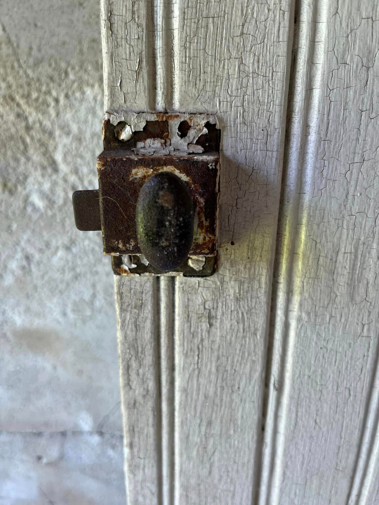 Vintage Barn Door