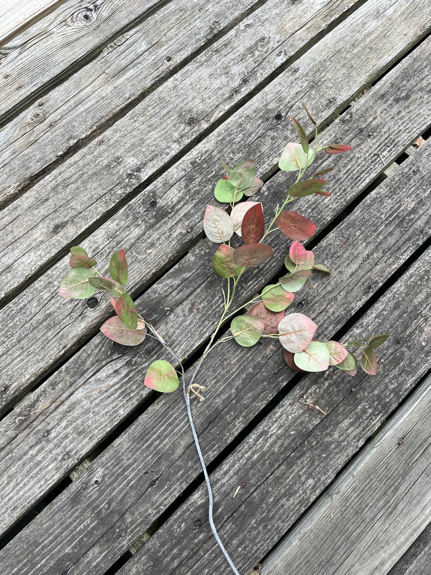 Fall Leave Stem